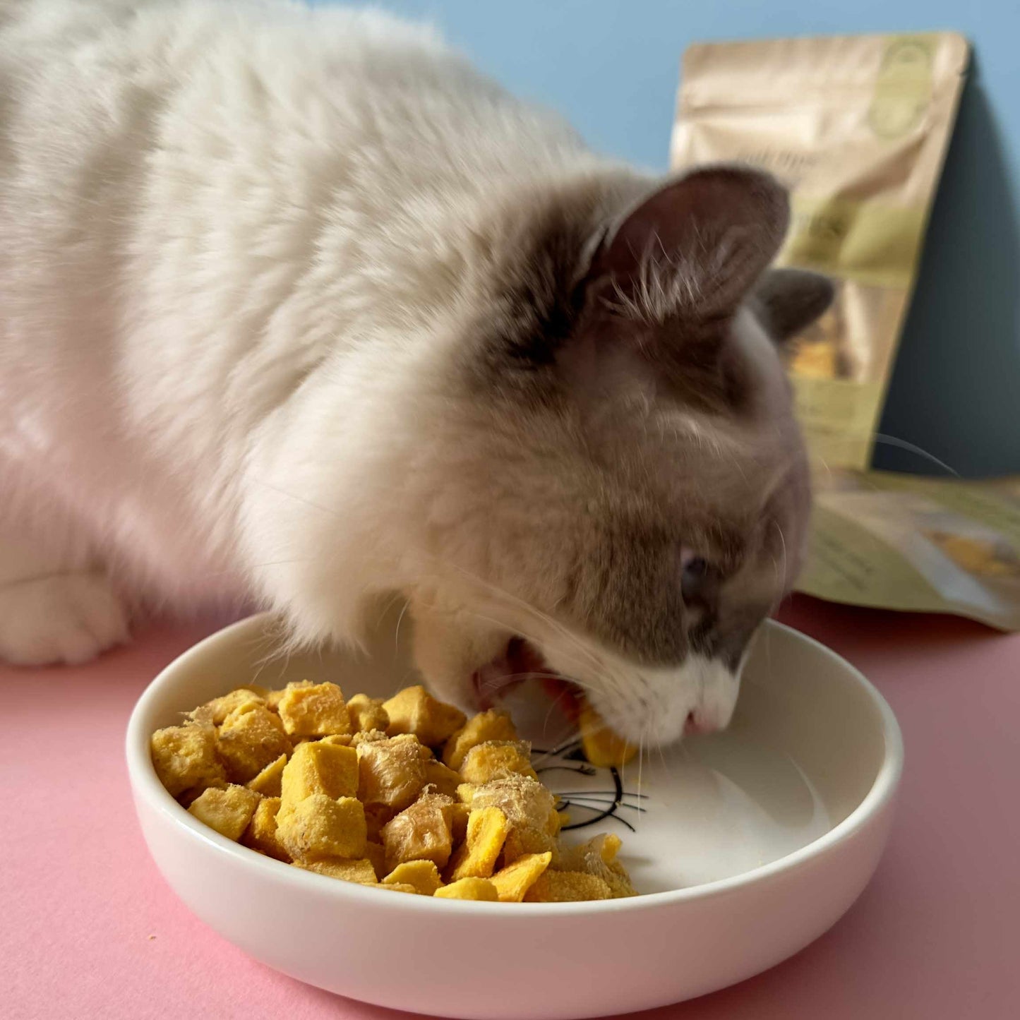 Yolky Bites - 100% Freeze-Dried Egg Yolk Treats | Pure Protein | Tail Tips UK | 40g pack