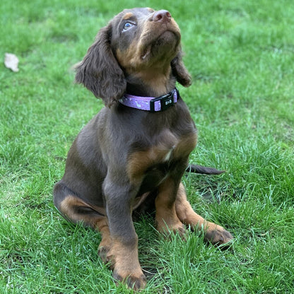 Daydreams and Unicorns Collar