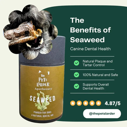 Dental Seaweed Powder for Dogs & Cats: Plaque Removal