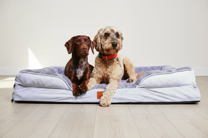 The Belgravia Orthopaedic Dog Sofa™ - Xl