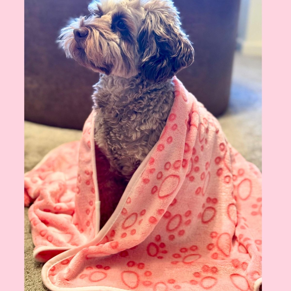 Dog Blanket - Pink Paws - The Bark Market