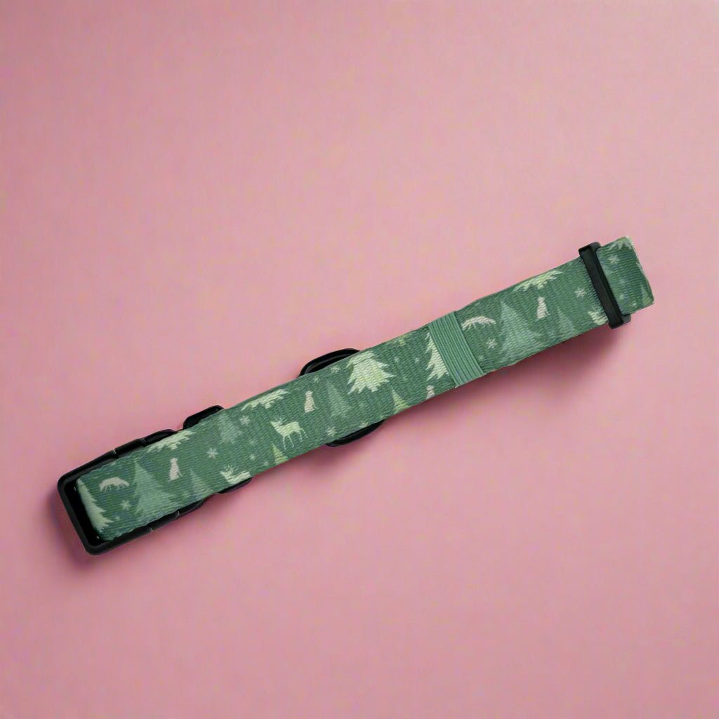Collar - Evergreen Trails - The Bark Market