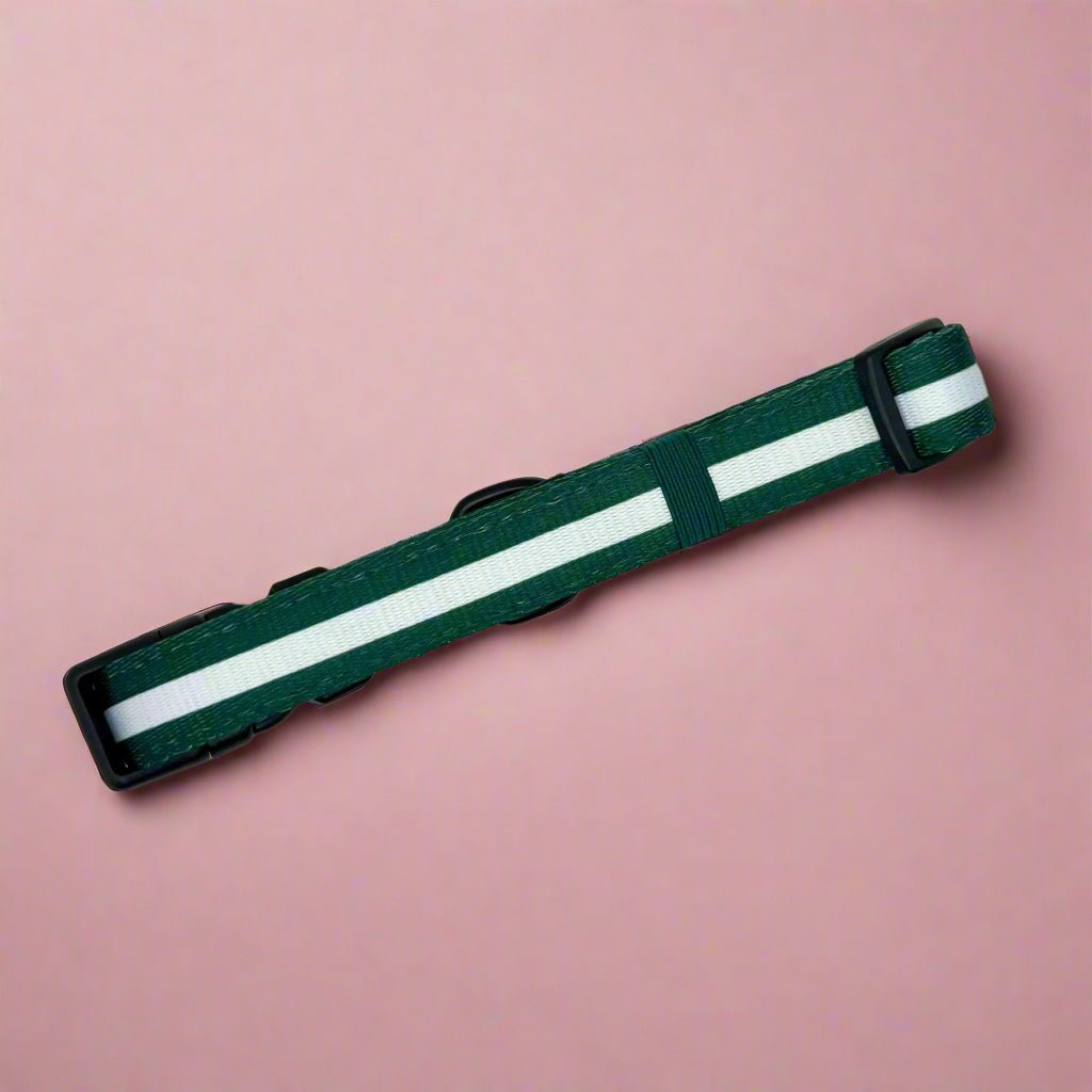 Collar - Forest Green - The Bark Market