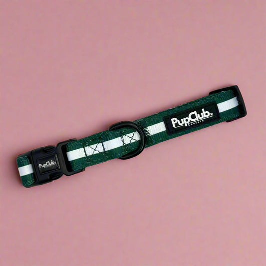 Collar - Forest Green - The Bark Market