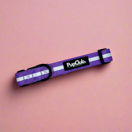 Collar - Lilac Blush - The Bark Market