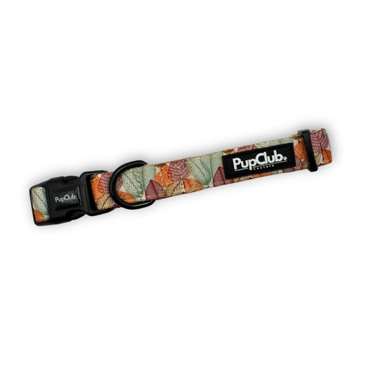 Collar - Autumn Breeze - The Bark Market