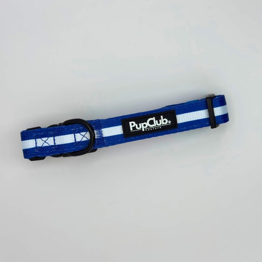 Collar - Royal Blue - The Bark Market