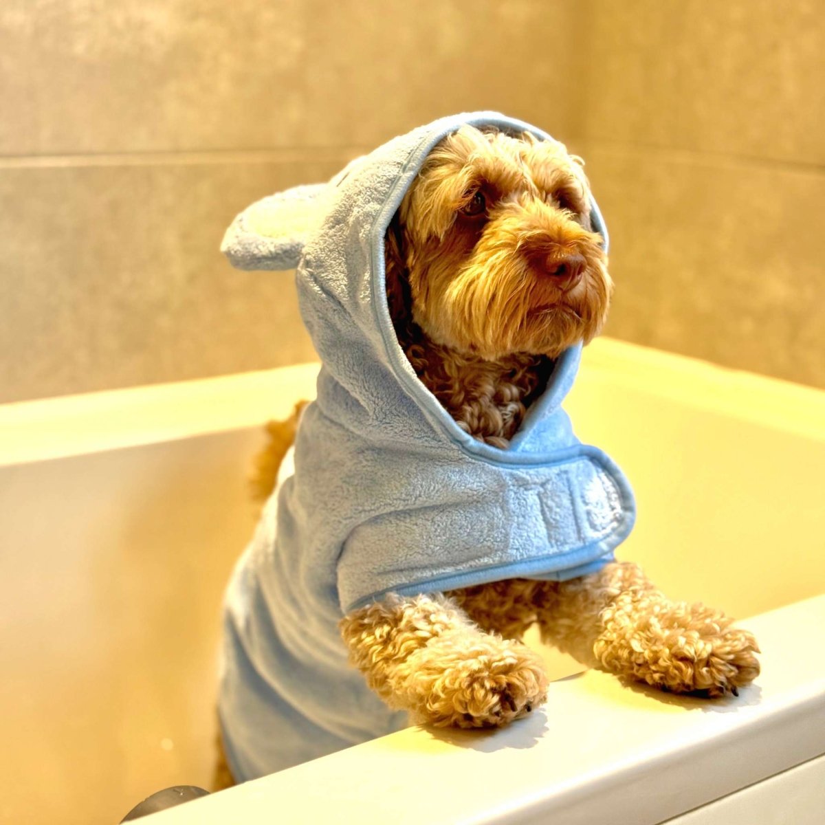 Drying Robe - Blue - The Bark Market
