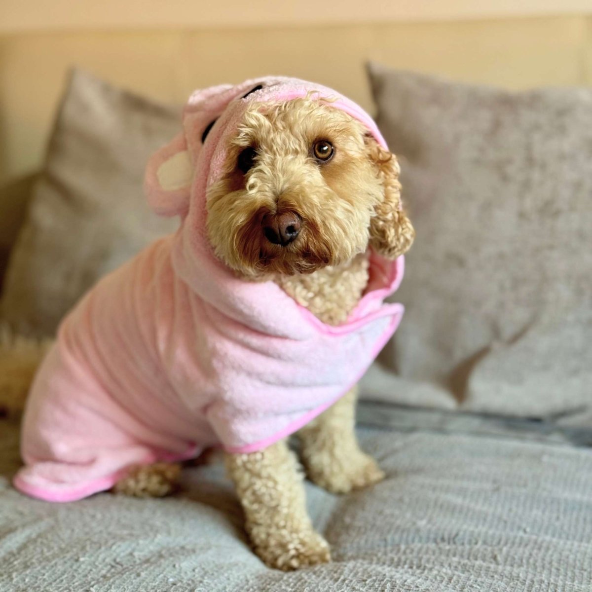 Drying Robe - Pink - The Bark Market