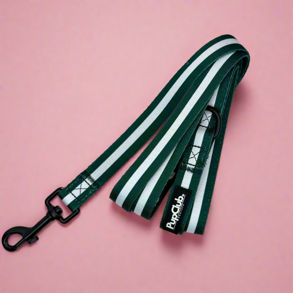 Lead - Forest Green - The Bark Market