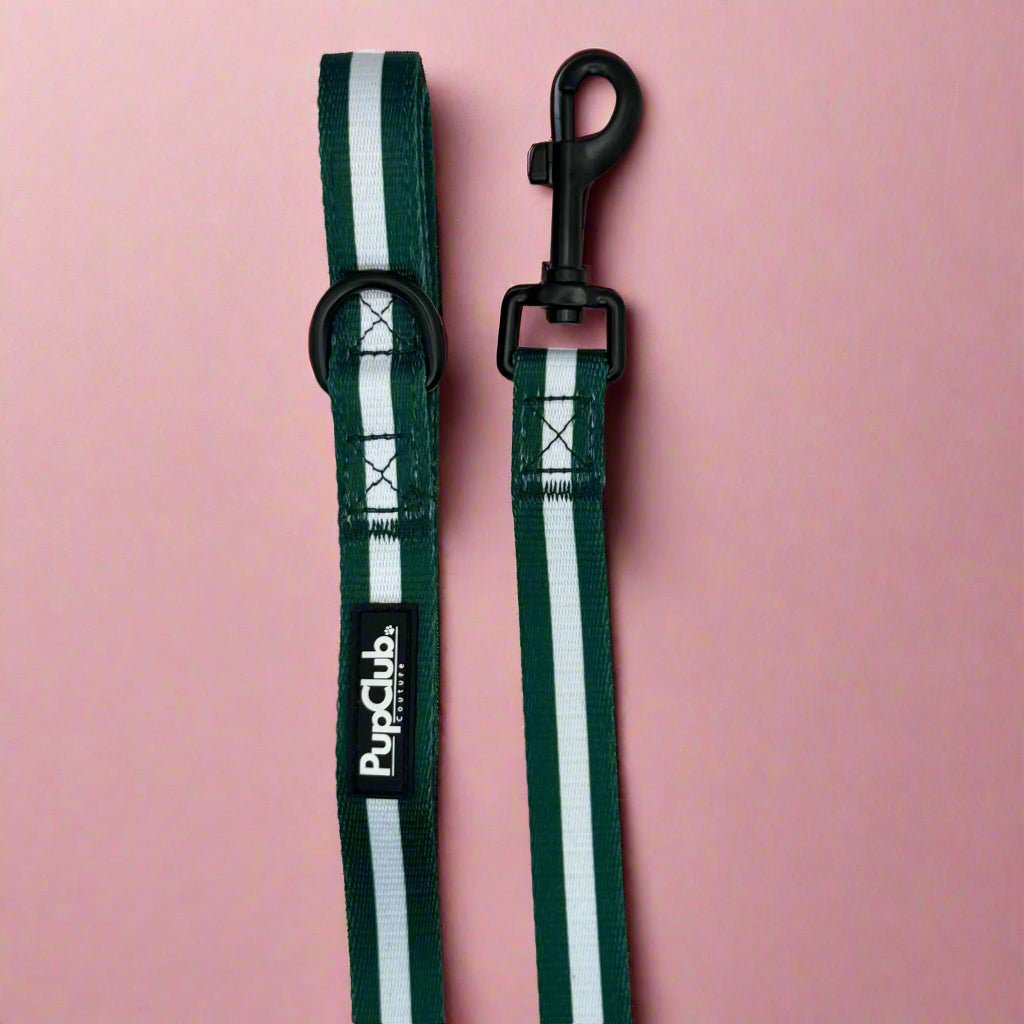 Lead - Forest Green - The Bark Market