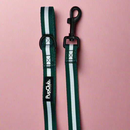 Lead - Forest Green - The Bark Market