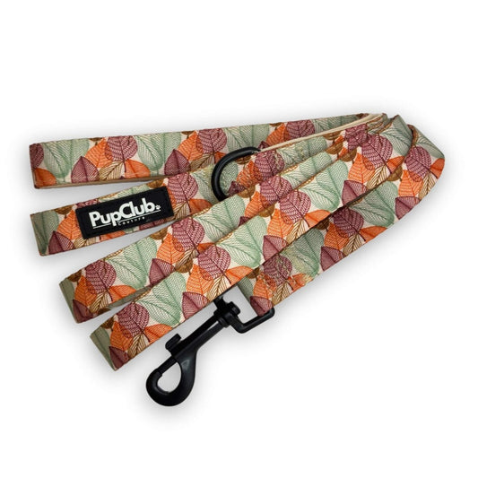 Lead - Autumn Breeze - The Bark Market