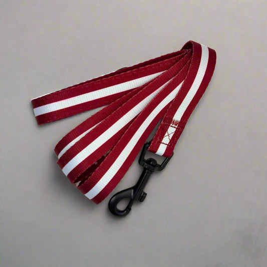 Lead - Berry red - The Bark Market