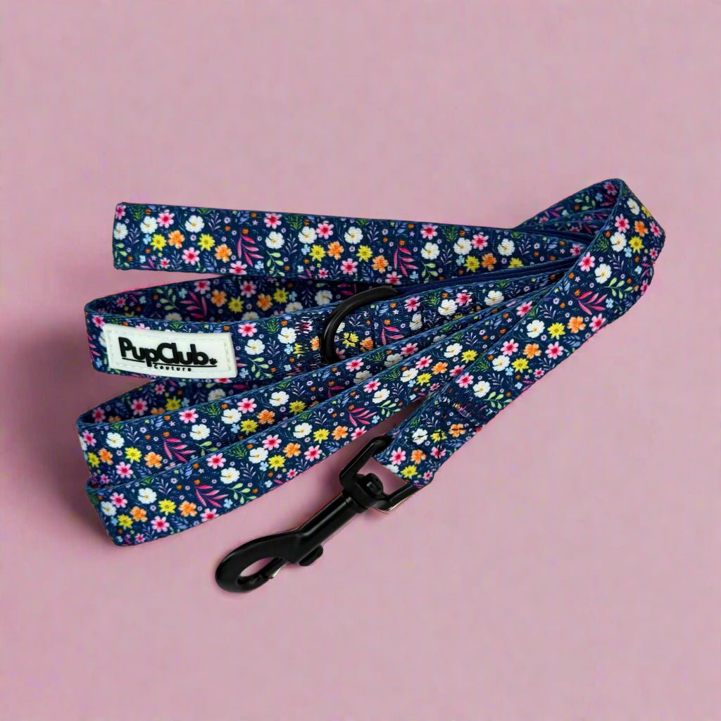 Lead - Summer Meadow - The Bark Market