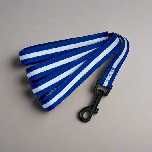 Lead - Royal Blue - The Bark Market