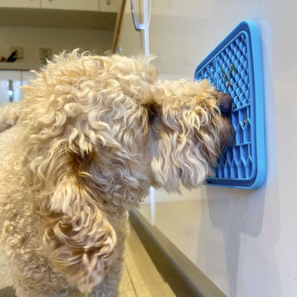 Dog Lick Mat - Blue - The Bark Market