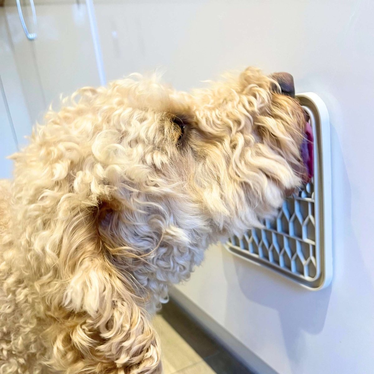 Dog Lick Mat - Cream - The Bark Market