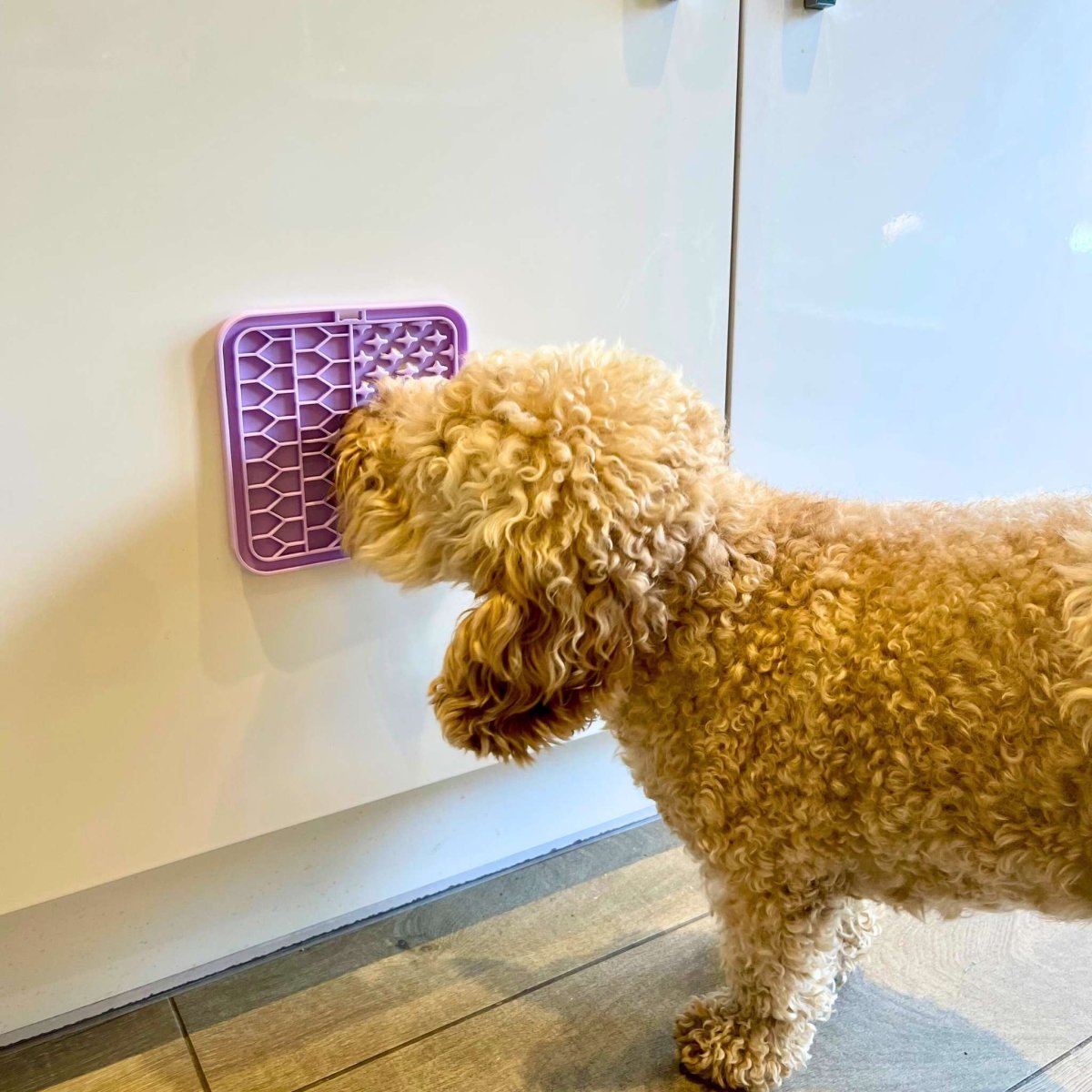 Dog Lick Mat - Lilac - The Bark Market