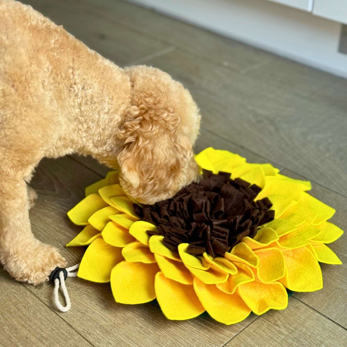 Snuffle Mat - Sunflower - The Bark Market