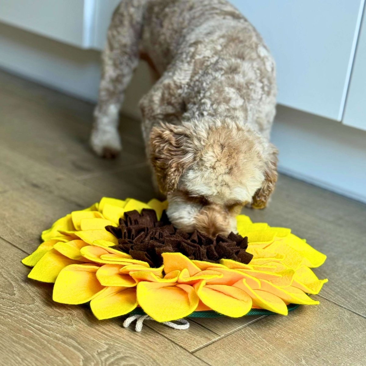 Snuffle Mat - Sunflower - The Bark Market
