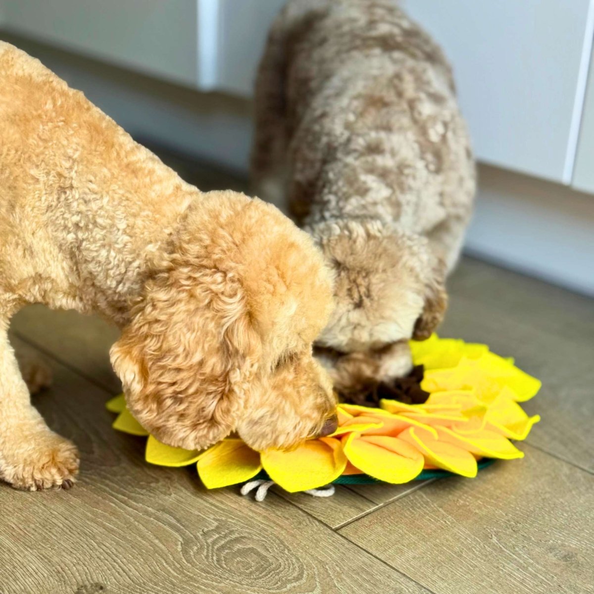 Snuffle Mat - Sunflower - The Bark Market