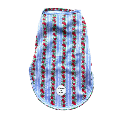 Eden's Orchard Dog Cooling Vest - The Bark Market