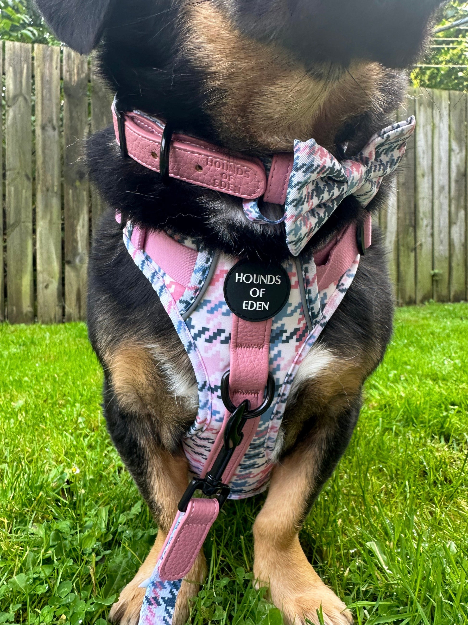 Pink Houndstooth Dog Supaw Strong Lite™ Harness (XS-XL) - The Bark Market