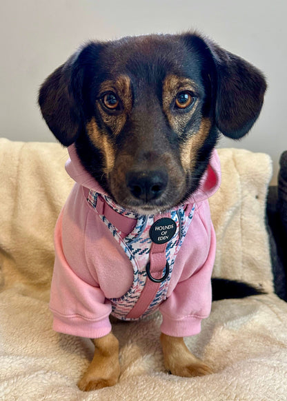 Dog Hoodie - Lilac - The Bark Market