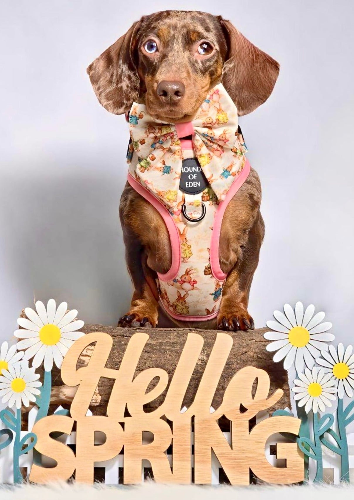 Bunny Tales - Pink, Dog Harness (XXS-XS) - The Bark Market