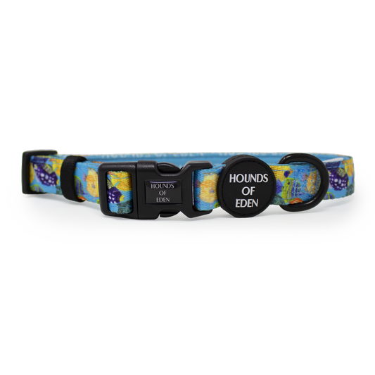 Under The Sea Design Dog Collar - The Bark Market