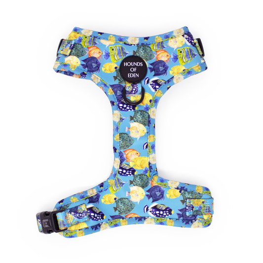 Under The Sea Design Dog Harness - The Bark Market
