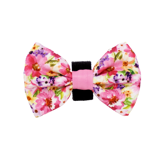 Florentina Bow Tie - The Bark Market