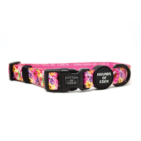 'Florentina' - Floral Dog Collar - The Bark Market