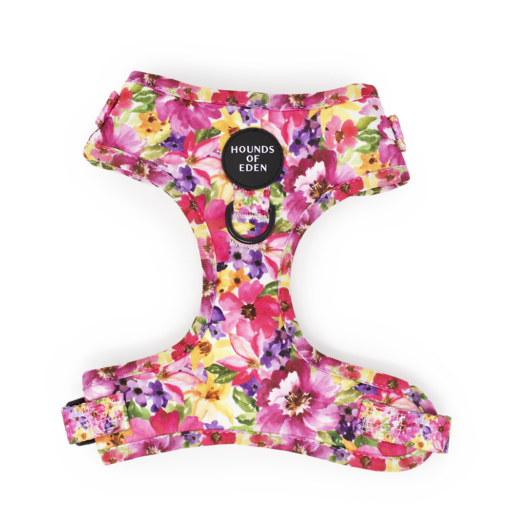 'Florentina' - Floral Dog Harness - The Bark Market