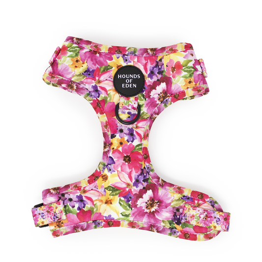 'Florentina' - Floral Dog Harness - The Bark Market