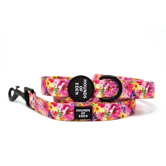 'Florentina' - Floral Dog Lead - The Bark Market