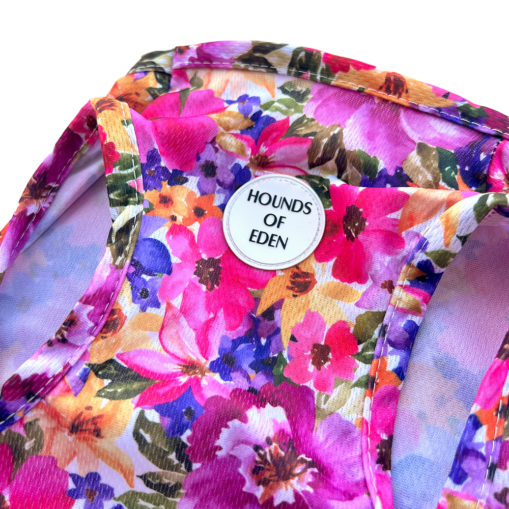 Florentina Dog Cooling Vest - The Bark Market