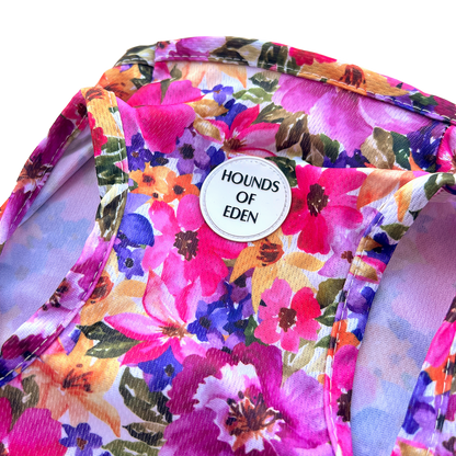 Florentina Dog Cooling Vest - The Bark Market