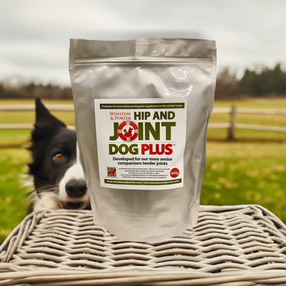 Hip and Joint Dog PLUS - The Bark Market