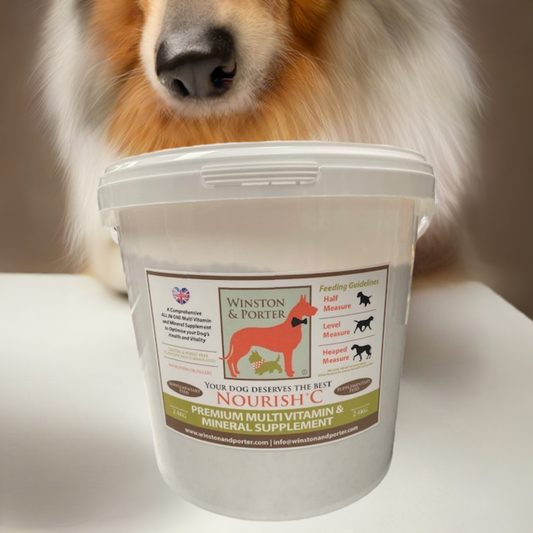 Nourish + C Premium Multi Vitamin & Mineral ALL IN ONE  Supplement - The Bark Market