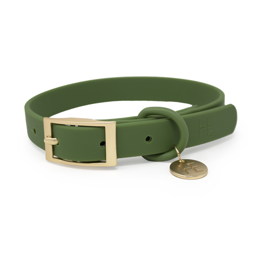 Forest Green 'All Weather' Dog Collar - The Bark Market