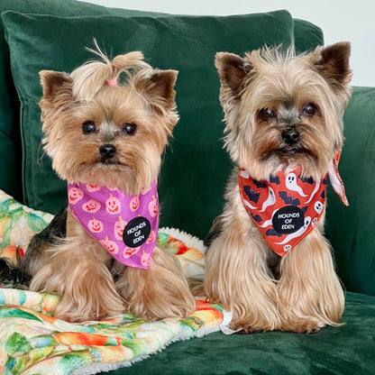 Orange Bats + Ghosts Halloween Dog Bandana 👻 - The Bark Market