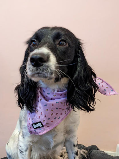 Sprinkles For Days Cooling Bandana - Pink - The Bark Market