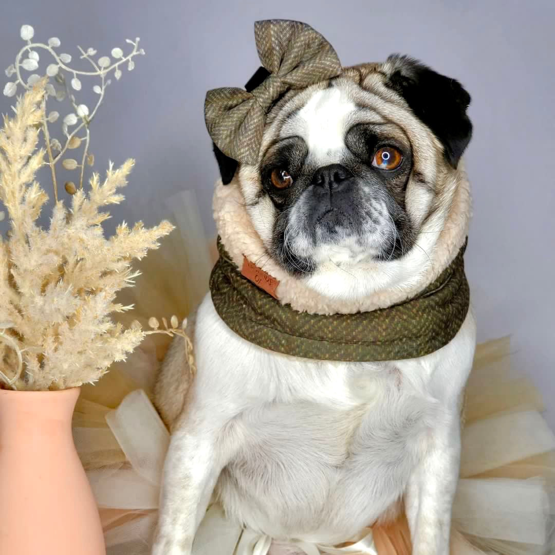 Max Tweed Effect Dog Snood - The Bark Market