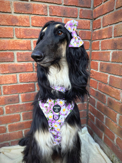 Daisy Dreams Design Dog Harness - The Bark Market