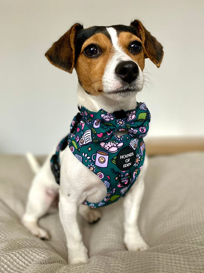Self Care Design Dog Harness - The Bark Market
