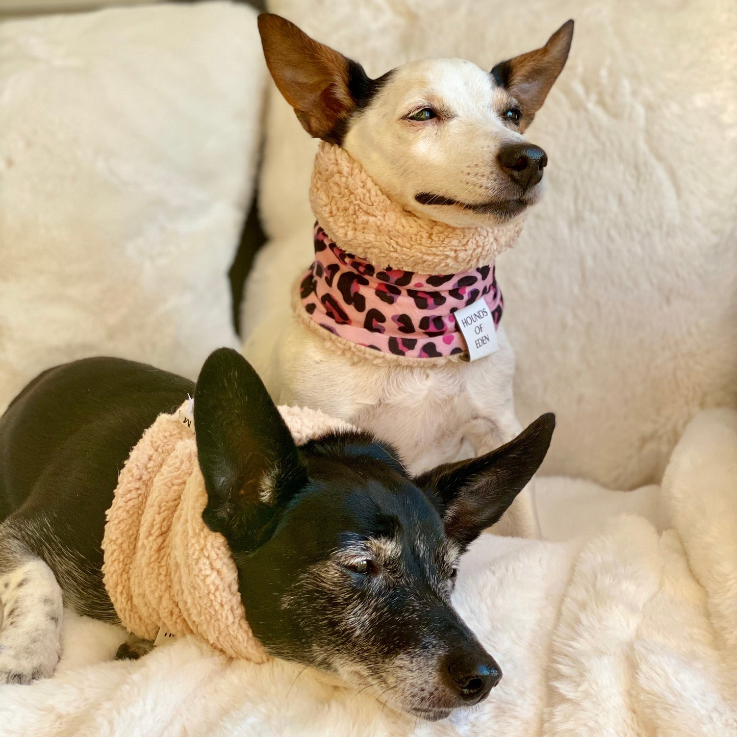 Blushing Leopard Dog Snood - The Bark Market