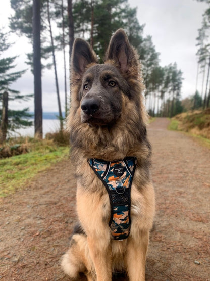 Supaw Strong™ 'Brush It Off' Utility Harness - The Bark Market