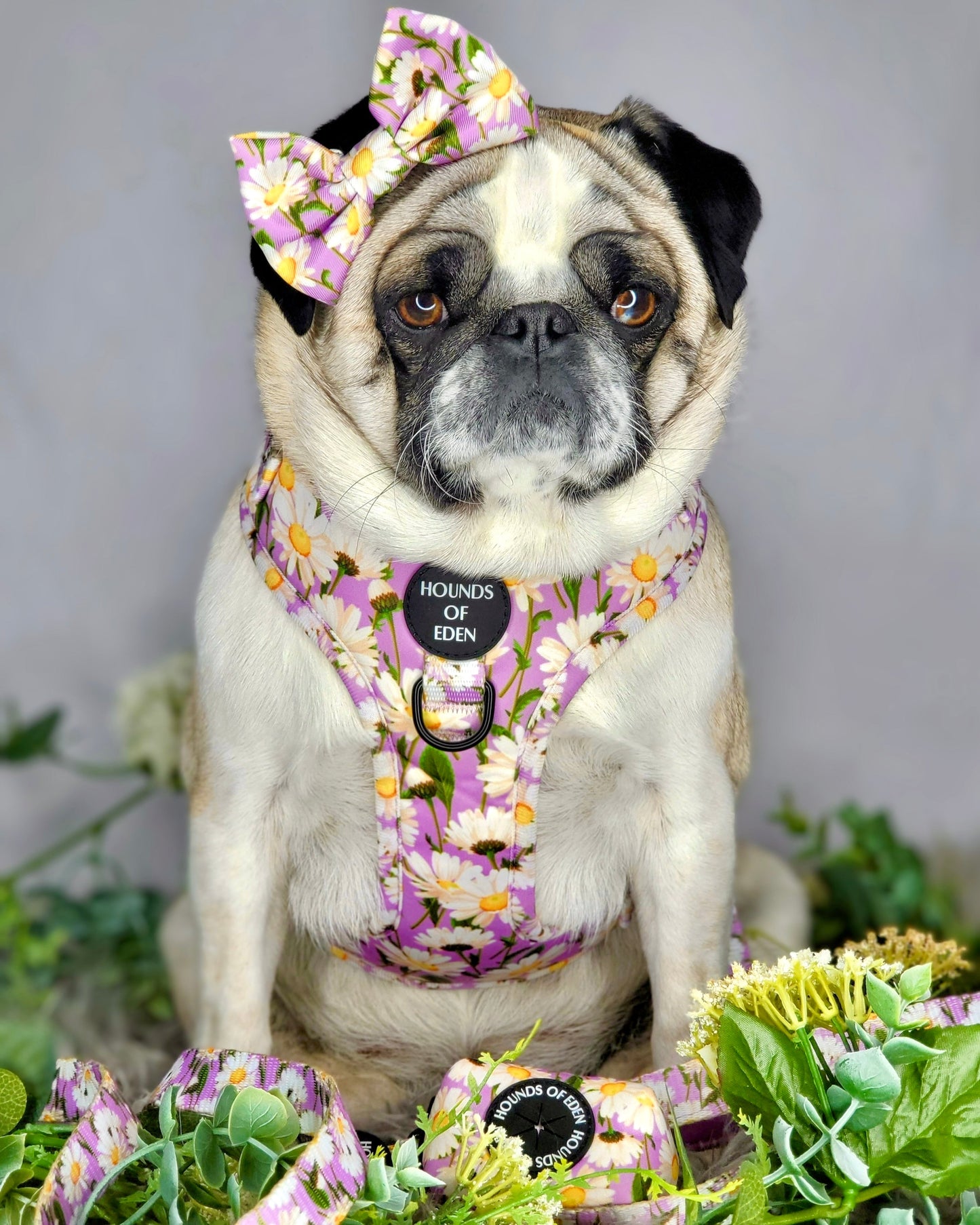 Daisy Dreams Design Dog Harness - The Bark Market